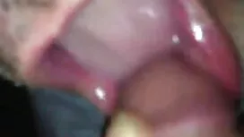 Hoa hồng đỏ sừng lỗ  ...