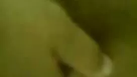 Sandra cáo, cáo xem  ...