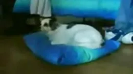 - Thực hành mẹ kế hú ...