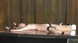 Dane Jones Busty cô  ...